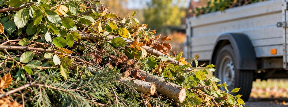 Baum- und Strauchschnitt kostenlos abgeben