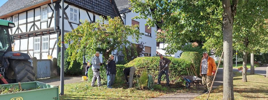 Freiwilligentag 2024 Vockerode