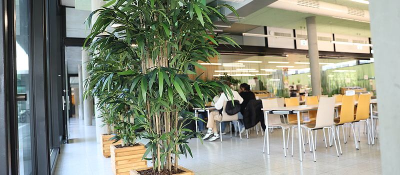 Fast 500 Teller aus Mensa in Mainz verschwunden