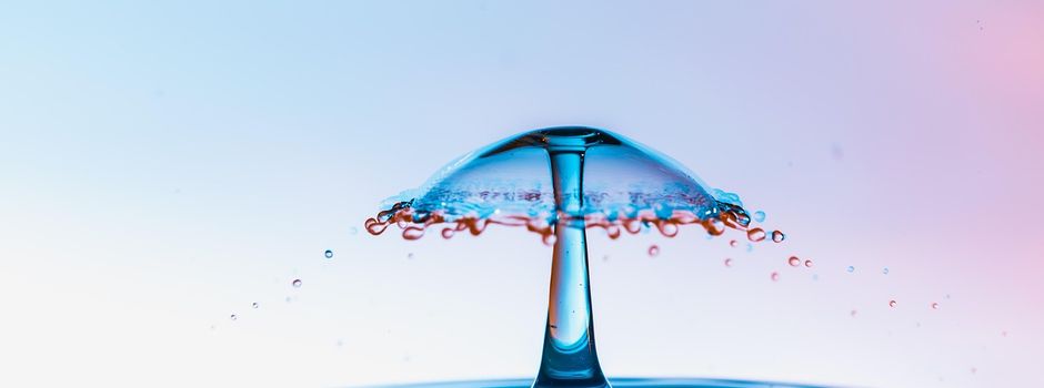 Informationen zur Wasserqualität