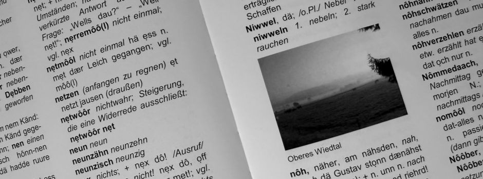 „Stänebächer platt“ Buchstabe N