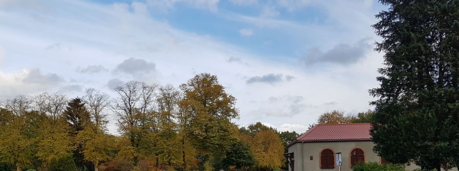 Ihre Meinung ist gefragt!