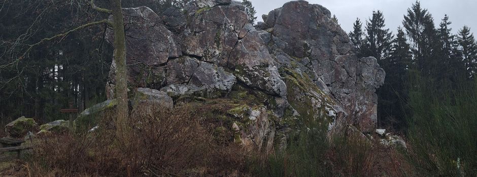 Toter Wolf am Fleschfelsen gefunden