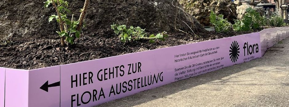 Neue Ausstellung „FLORA“ in Mainzer Museen