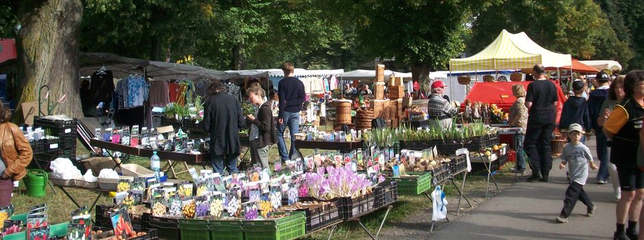 Niedernhausener Bürgerbus: Sonderfahrten zum Alteburger Markt (29.08.24)