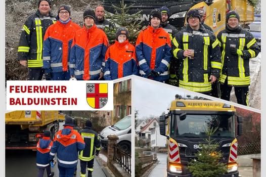 Einsammeln der Weihnachtsbäume