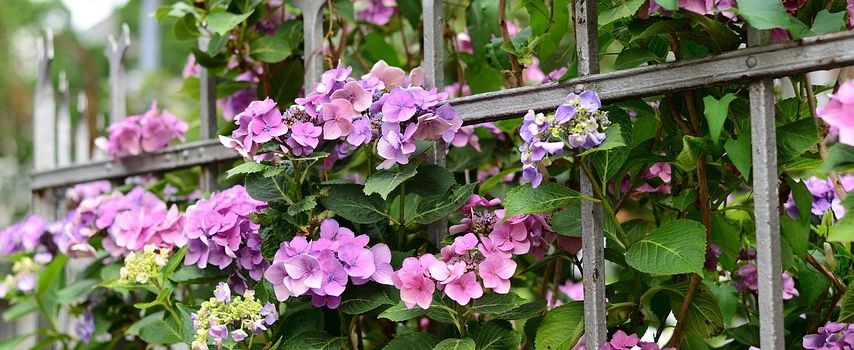 Sitzgelegenheiten für „Summer-Garden“ gesucht!