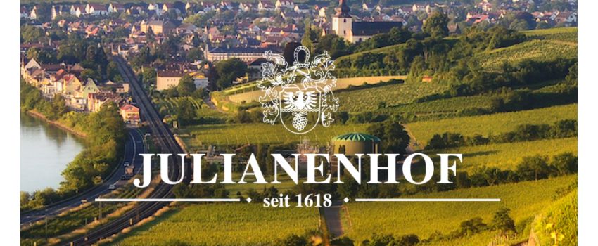 Wein, Musik und gute Laune: Großes Hoffest im Weingut am Wochenende