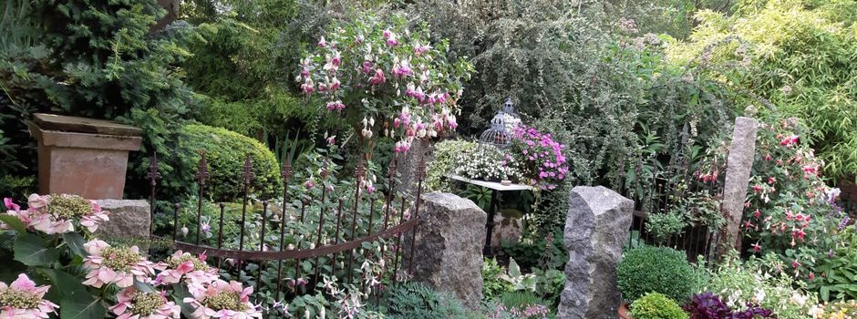 Hostas, Sommerblumen und Stauden