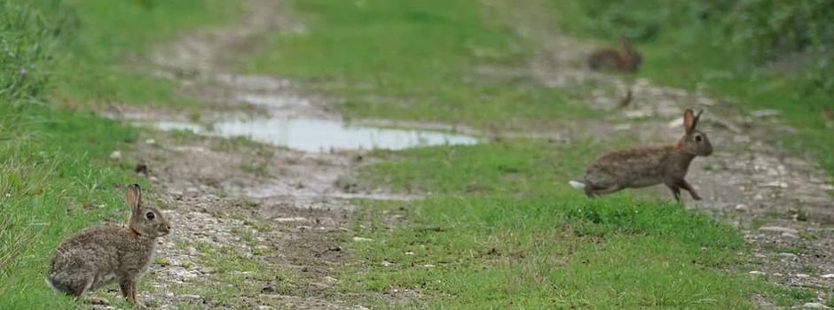 „Naturfotografie Niederkassel“: Neue Facebookgruppe boomt