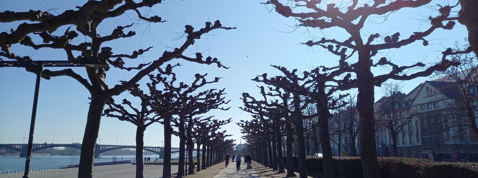 Bis zu 24 Grad: Nächste Woche gibts den Super-Frühling in Mainz