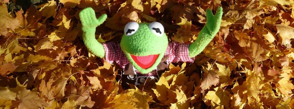 kostenlose Laubentsorgung! Herbstservice unserer Gemeinde