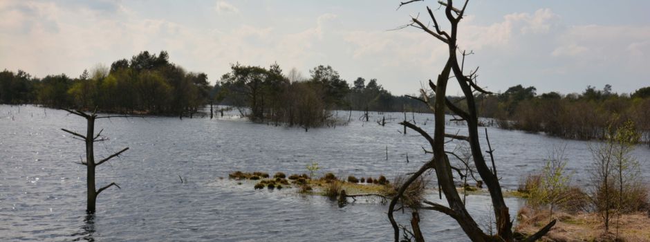 ......es hat tatsächlich etwas geschneit