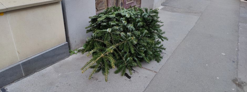 Aufregung um nicht abgeholte Christbäume: So reagiert die Stadt Mainz