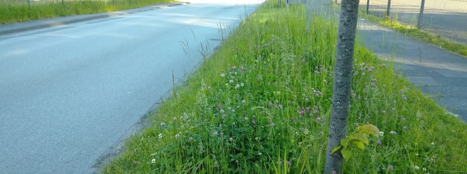 Grünstreifenpflege an Straßen in Herzebrock-Clarholz