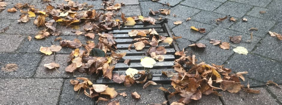 Sinkkastenreinigung in Niederkassel - Warum das sein muss