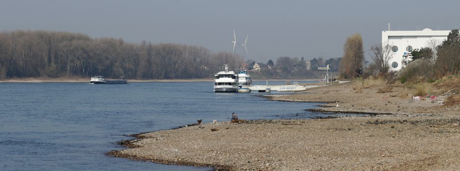 Sonniger März: Frühling mit Schattenseiten