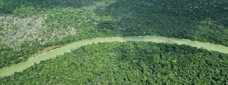 Brasilien: Deutschland gibt eine Milliarde für Tropenfonds