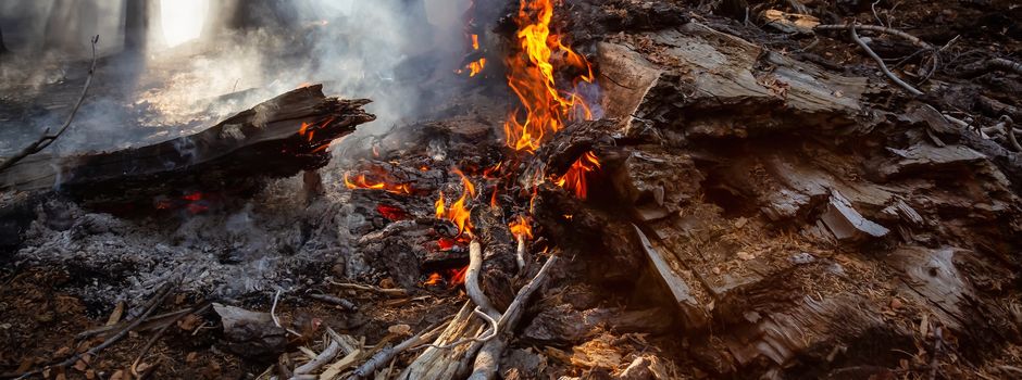 Feuer in der Eibia rechtzeitig bemerkt