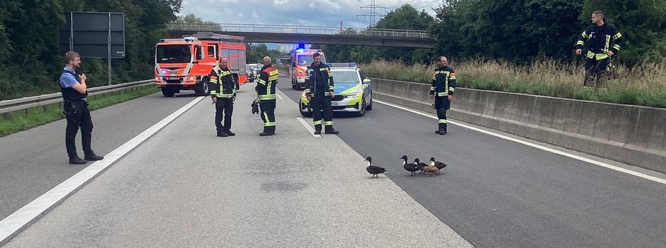 Entenfamilie sorgt für Vollsperrung auf der A671 bei Wiesbaden