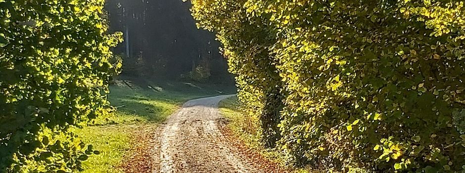 Abendspaziergang des VSK sowie Vogelstimmenexkursion