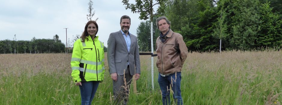 Streuobstwiese mit regionalen Obstsorten in Herzebrock-Clarholz eingerichtet: Ausgleichsfläche für Regenrückhaltebecken