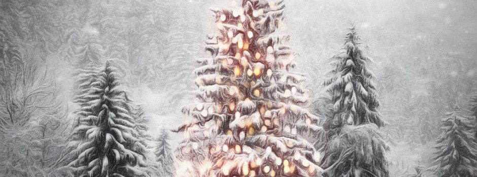 Weihnachtsbaum schmücken am Brunnenplatz