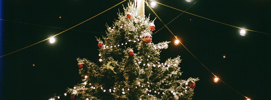 Stadt Wesenberg sucht einen Weihnachtsbaum