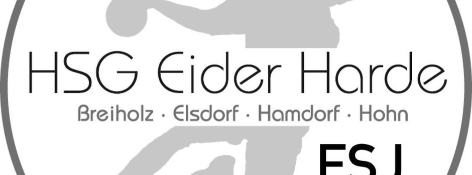 FSJler/in für die HSG Eider gesucht 2026/27