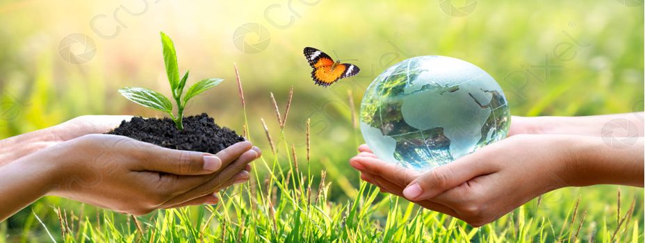 Umwelttag in Birkheim