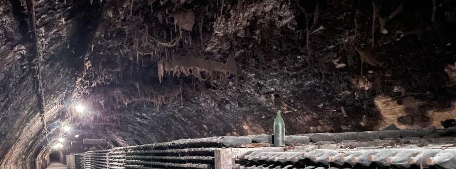 Das könnt ihr auch bei schlechtem Wetter in Mainz unternehmen