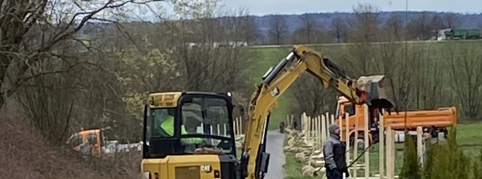Neue Bäume in der Allee zum Biotop werden gepflanzt