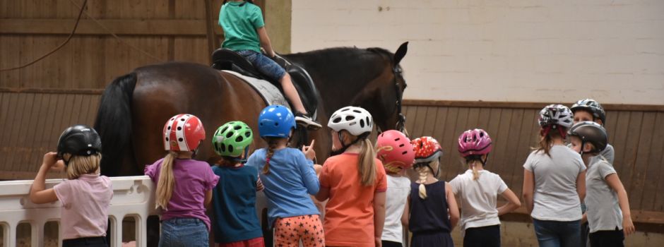 Ferienspiele - Reitnachmittag des Reit- und Fahrverein Clarholz-Lette