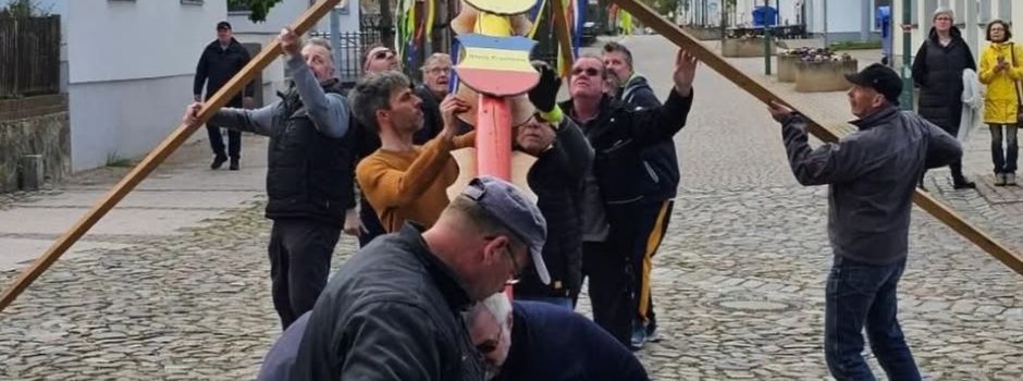 Aufstellen des neuen Maibaums