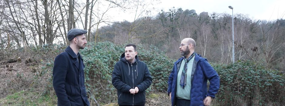 Planungen eines "Jugendspielfelds" in Rehlingen