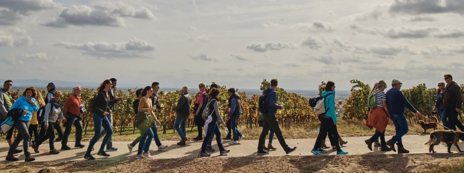 Tourismusmarketing vom Feinsten: die Oppenheimer Federweißer Schlemmerwanderung