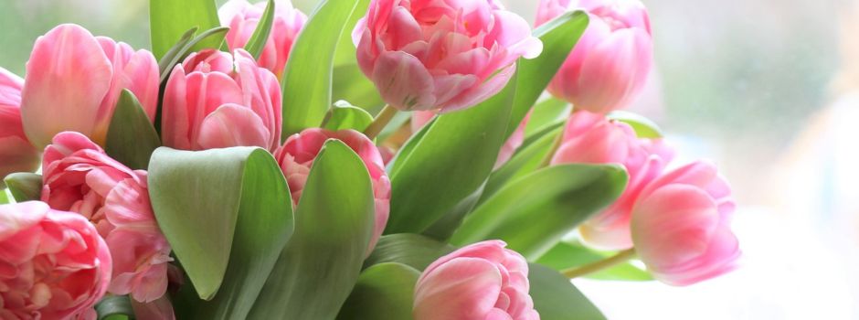 Glückwünsche zum Frauentag