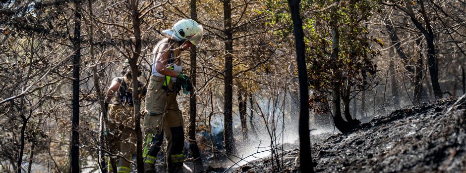 Waldbrand bei Bad Schwalbach: Flammen breiten sich rasant aus