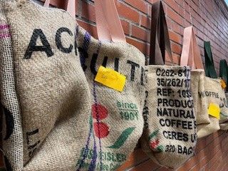 Projektwoche: Zukunft gestalten mit Nachhaltigkeit und Vielfalt