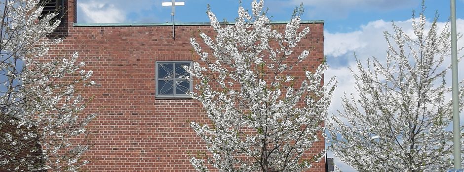 Musik und Texte zum Ewigkeitssonntag