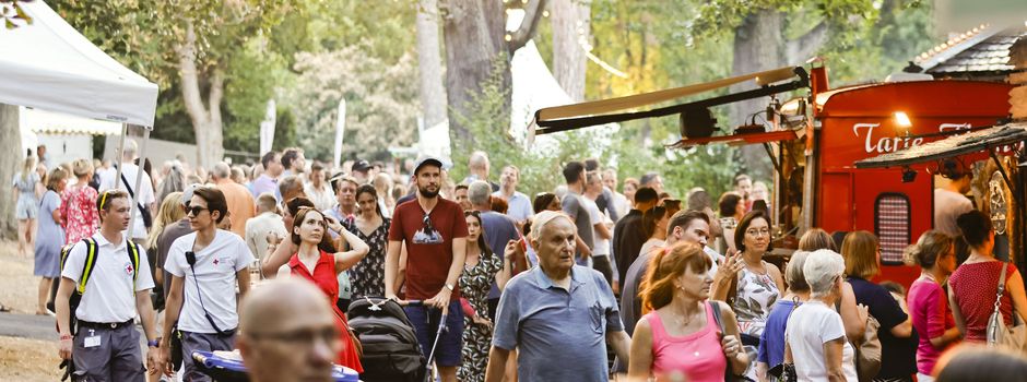 Trotz Pannenserie: Veranstalter zufrieden mit Mainzer Weinmarkt
