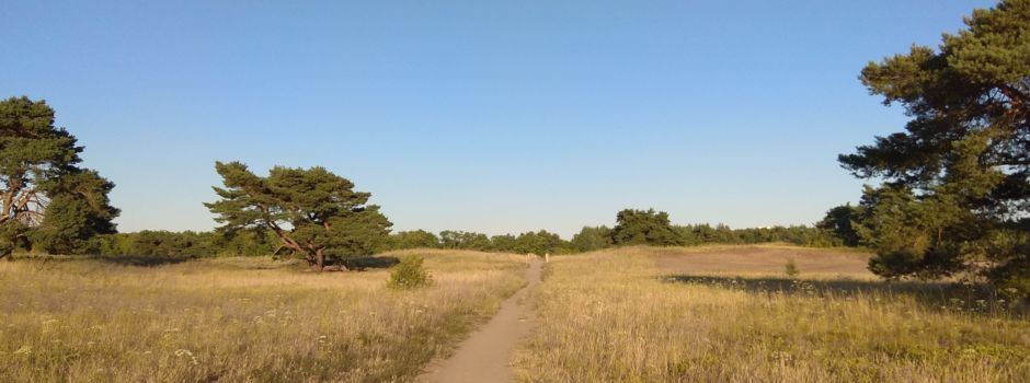 Hubschrauber im Einsatz: Notfall im Großen Sand