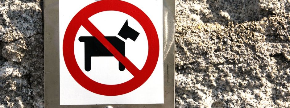 Hinterlassenschaften von Hunden