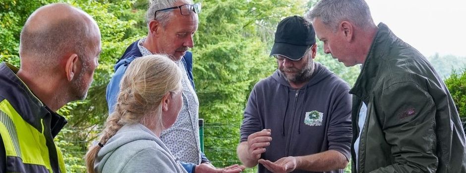 Wellness für Stadtbäume: Maßnahmen für natürlichen Klimaschutz