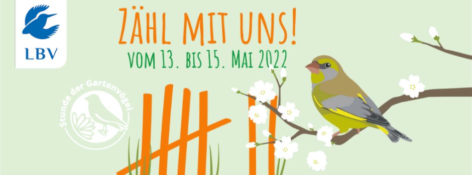 Stunde der Gartenvögel