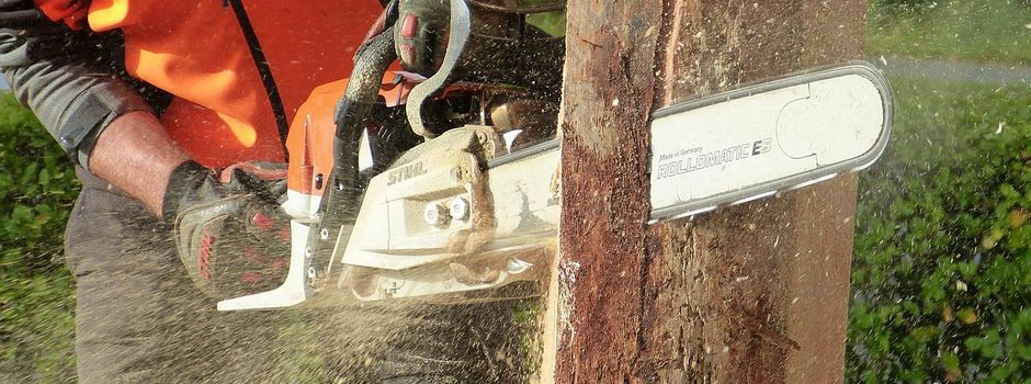 Do. 27./Fr. 28.04.23 - Baumfällung zwischen Rehlingen und Fremersdorf