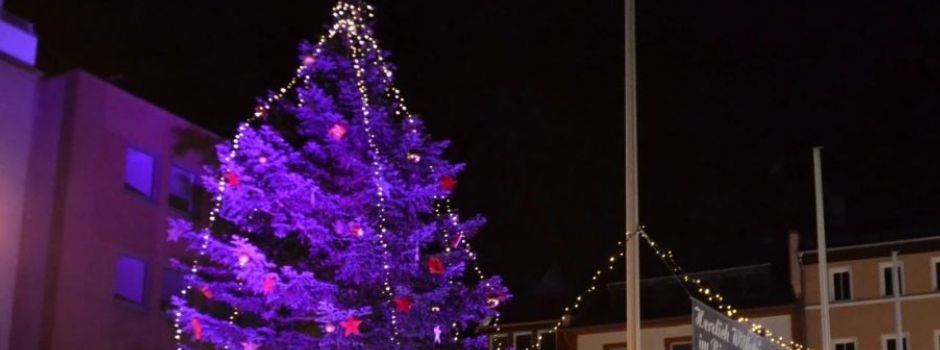 Weihnachtsbäume für Binger Plätze gesucht