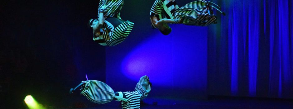 Europäisches Zirkusfestival in Wiesbaden