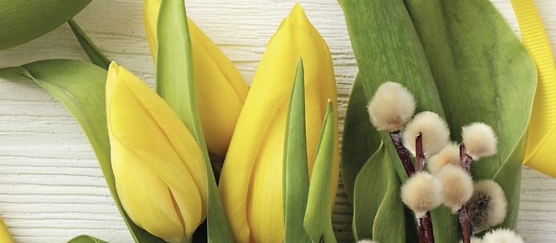 Frohe Ostern