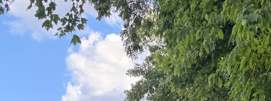 Auch unsere Gemeinde hat einige Kilometer beim „Stadtradeln“ beigetragen.